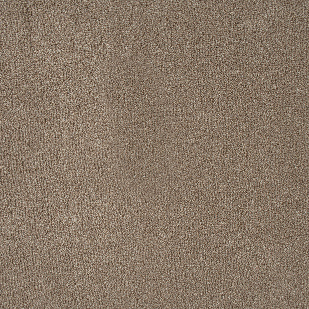 Warm Beige Indiana Saxony Carpet