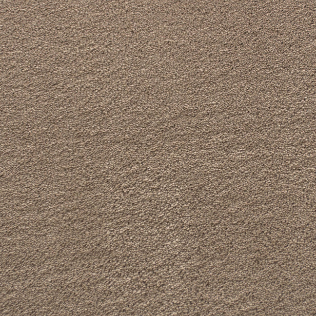 Warm Ground 725 Sarafina Carpet