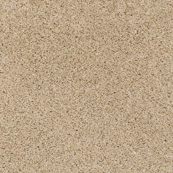 Wheat Straw 39 Pegasus 70oz Heathers Invictus Carpet