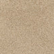 Wheat Straw 39 Pegasus 70oz Heathers Invictus Carpet