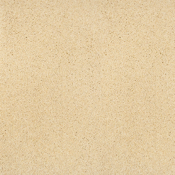 Pegasus 70oz Heathers Invictus Carpet