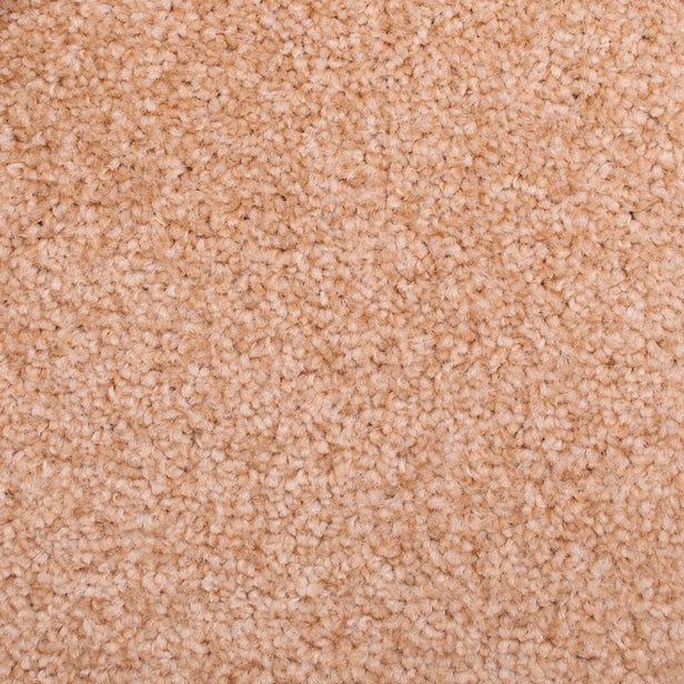 Wild Honey 30 StainAway Harvest Heathers Deluxe Carpet