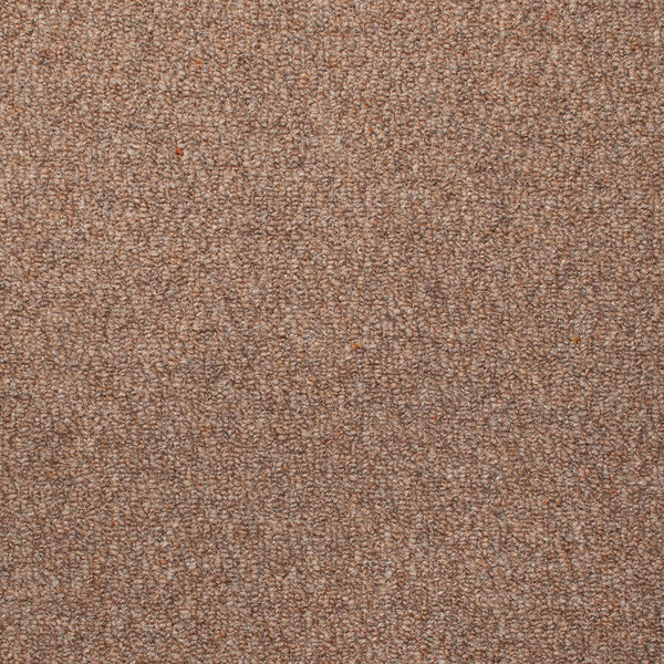 Stainfree Wildwood Oakland Berber Carpet