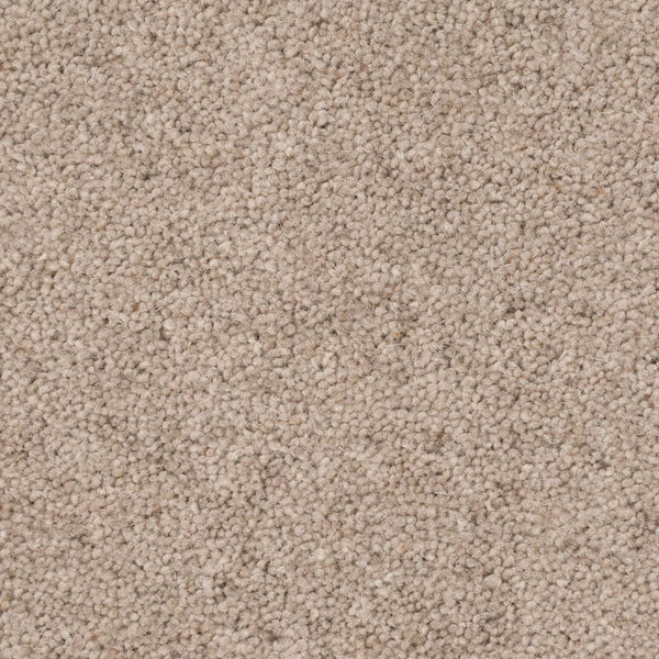 Woodriff 785 Woolmaster Twist Deluxe Carpet Buy Woolmaster Twist