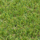 Yewvista 30mm Artificial Grass 5m